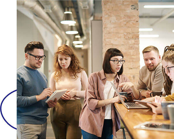 Expert Web Design Team